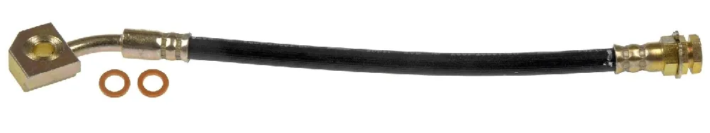 Top-Preis Bremsschlauch F150 rechts hinten außen