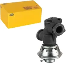 HELLA AGR-VENTIL für FIAT DUCATO PEUGEOT BOXER (244) CITROEN JUMPER 2.0-2.2 HDI Nur Heute