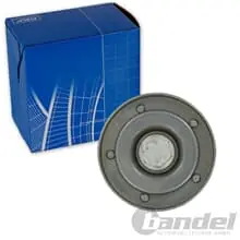 Kracherpreis SKF FÜHRUNGSROLLE KEILRIPPENRIEMEN FÜR SEAT ALHAMBRA IBIZA VW GOLF JETTA SHARAN